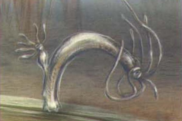 Кракен сайт krakens13 at